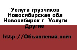 Услуги грузчиков - Новосибирская обл., Новосибирск г. Услуги » Другие   